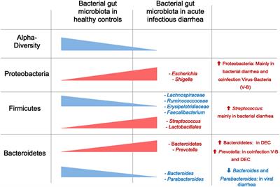 Bacterial Gut Microbiota and Infections During Early Childhood